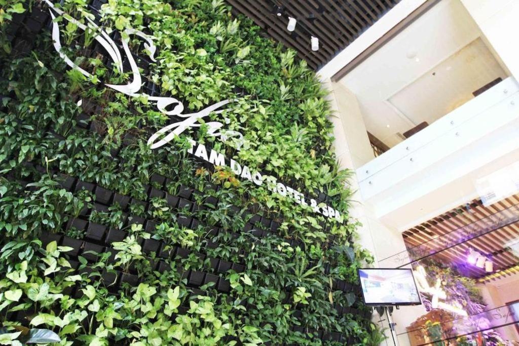 Thang Loi Tam Dao Hotel Dış mekan fotoğraf