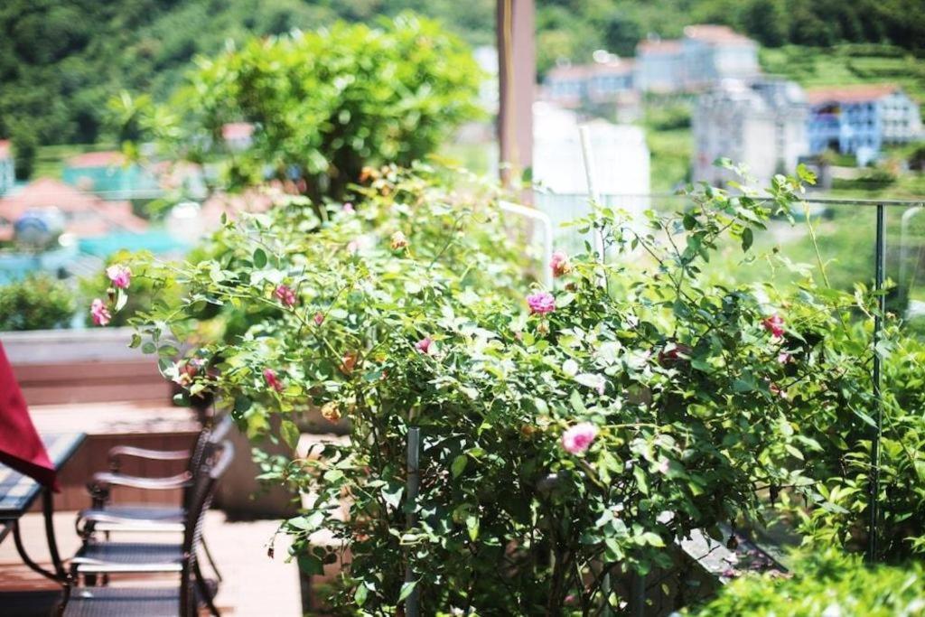 Thang Loi Tam Dao Hotel Dış mekan fotoğraf